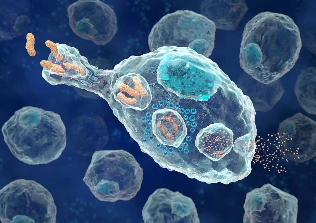 NK細胞療法經過科學驗證，是對抗癌癥的新型治療方法