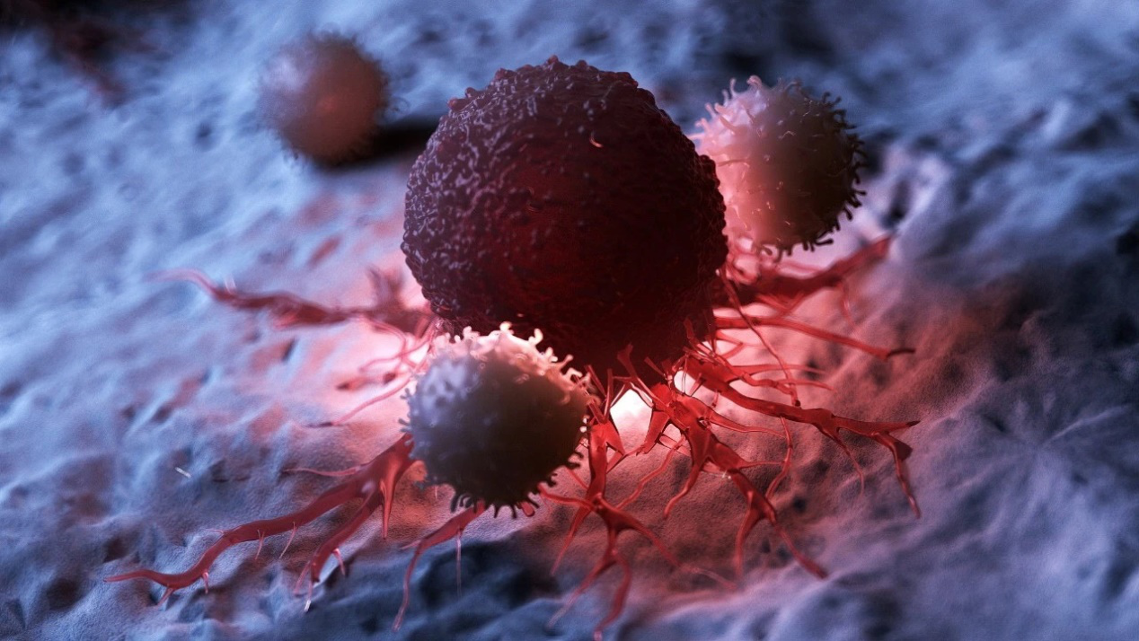 最新消息：新一代CAR-NK細胞療法備受矚目