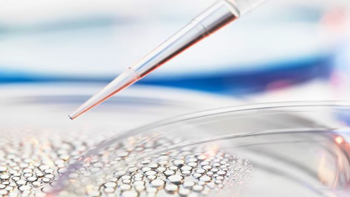 我國干細胞新藥申報進度：11個項目進入臨床試驗階段