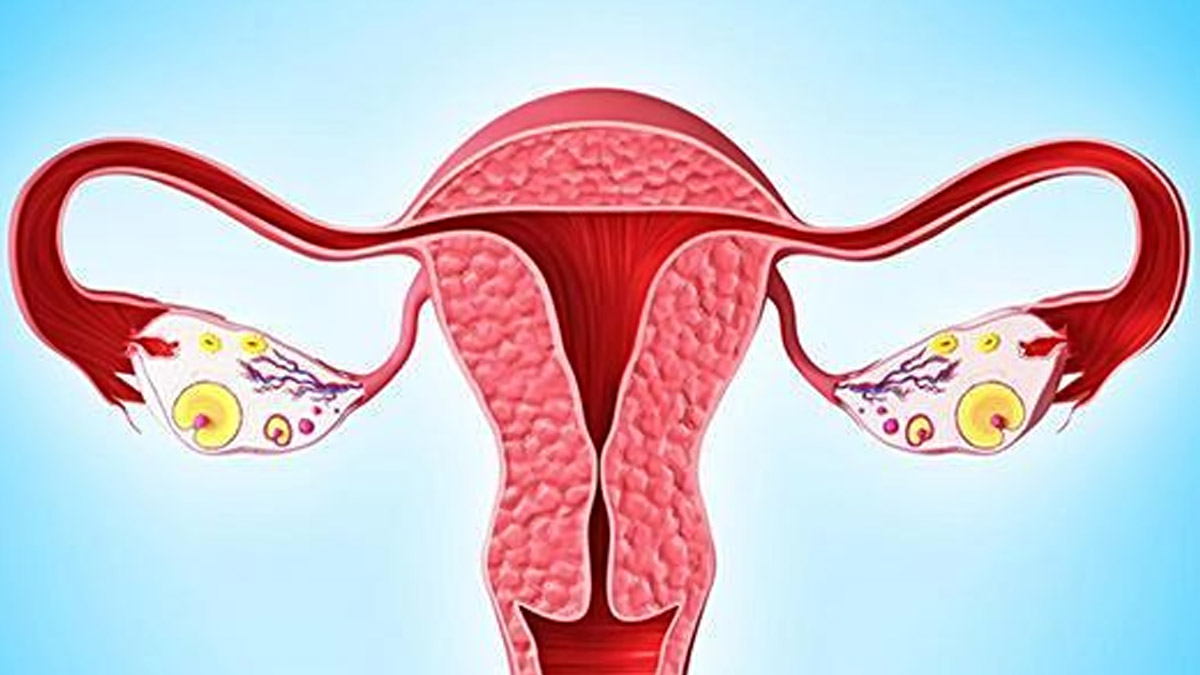 干細胞移植治療卵巢早衰的臨床研究案例