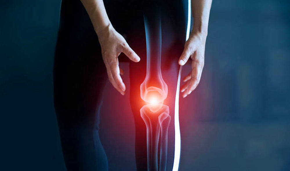 間充質干細胞在膝骨關節炎中的研究進展