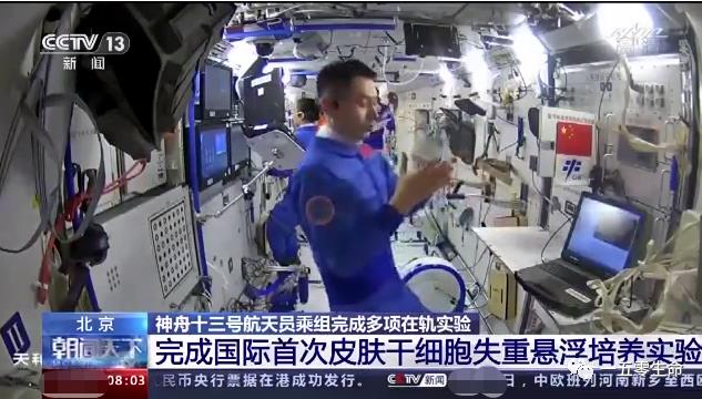 干細胞技術“上天了”？皮膚干細胞失重懸浮培養實驗首次在中國空間站完成